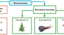 Екологія. Екосистема.
