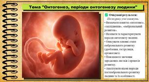 Онтогенез, періоди онтогенезу людини. Біологія. 8 клас. До підручника Тагліна О., Самойлов А. та ін.