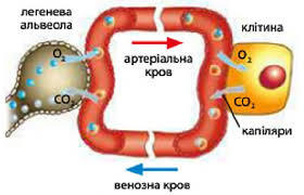 0901mzte-54a0-299x192.jpg