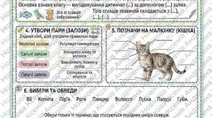 Домашнє завдання на тему: "Характерні риси ссавців"