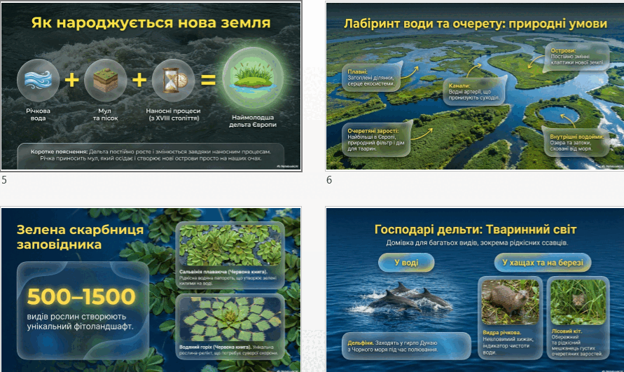0901n1tz-8591-891x531.png