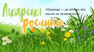 Лікарські рослини та їх значення.
