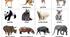 Презентація What can do animals