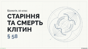 Презентація на тему "Старіння і смерть клітин". 10 клас