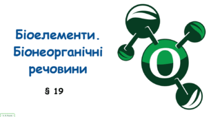 Презентація на тему "Біоелементи.  Біонеорганічні речовини" 10 клас