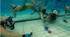 Listening. Sports. Text "The Underwater Team Sport"