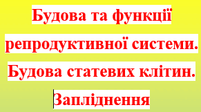 «Будова та функції репродуктивної системи. Будова статевих клітин. Запліднення» Самостійна робота з біології, 8 клас