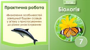 Практична робота №7 "Визначення особливостей зовнішньої будови ссавців  у зв’язку з пристосуванням до різних умов існування". Біологія 7 клас НУШ
