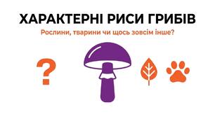 Презентація: "Характерні риси грибів" біологія 7 клас НУШ