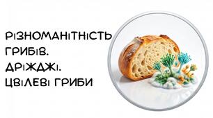 Презентація: "Різноманітність грибів. Дріжджі. Цвілеві гриби" біологія 7 клас НУШ