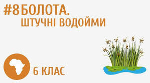 Болота. Штучні водойми