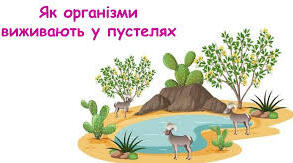 6 як організми виживають в пустелях