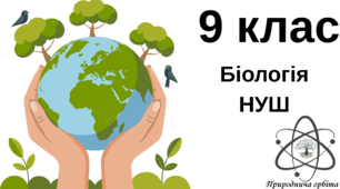 Екологія. Екосистема та її характеристики. Харчові зв'язки. Потоки енергії в екосистемах. Продуктивність екосистем. 