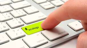 Міжнародний день екологічних знань (International Environmental Awareness Day) 