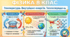 Фізика 8 клас: КПР з теми «Внутрішня енергія тіла»