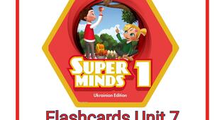 Flashcards Super Minds 1 (Second Edition), Unit 7