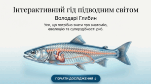 Загальна характеристика риб
