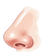 0901nfiw-19ee-175x186.png