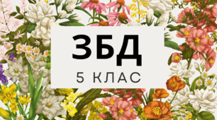 Підсумкова робота ГР3. Розділ 4 "Мій добробут". Автор програми Н.І.Гущина НУШ