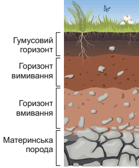 0901nh6n-893b-287x347.png