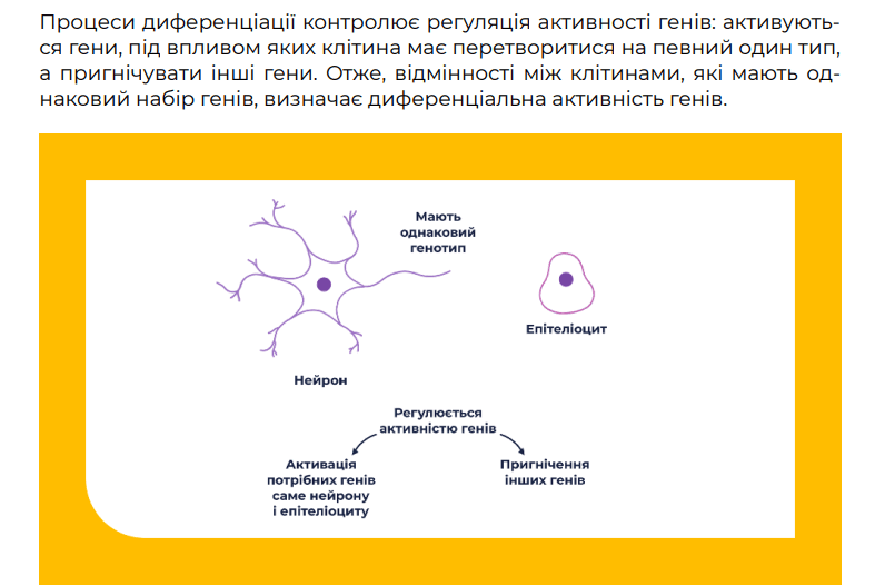 0901ni51-0c8e-796x527.png
