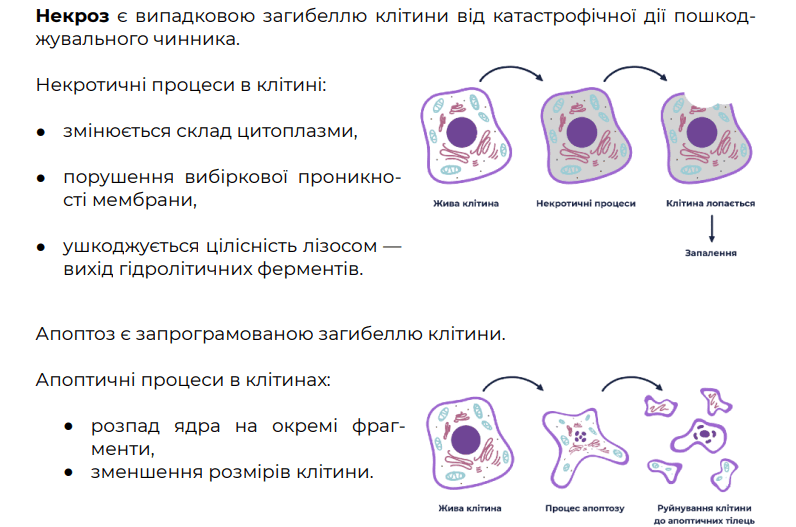 0901ni5w-854a-796x527.png