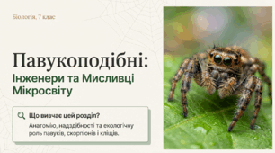 Павукоподібні