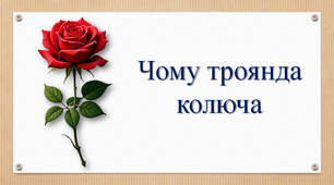 Тексти для слухання ⭐⭐⭐ Чому троянда колюча