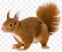 0901nl5m-3a2a-127x107.png