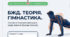 5 клас НУШ. Фізична культура. БЖД. Теорія. Гімнастика. Згинання та розгинання рук в упорі лежачи