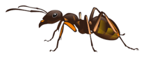 0901nleu-d6ee-207x84.png