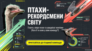 Птахи- рекордсмени світу