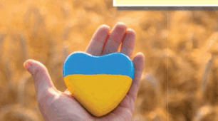 Unit 7 Ukraine profile