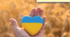 Unit 7 Ukraine profile
