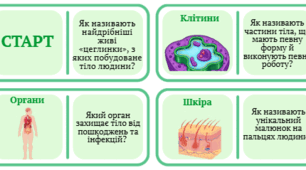 Природниче доміно "Із чого складається організм людини"