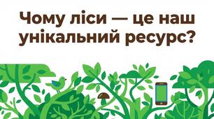 Презентація: "Чому ліси є унікальним ресурсом" 8 клас географія НУШ