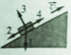 0901nrcr-8957-247x192.png