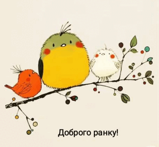 0901ns2z-4c1e-629x584.png