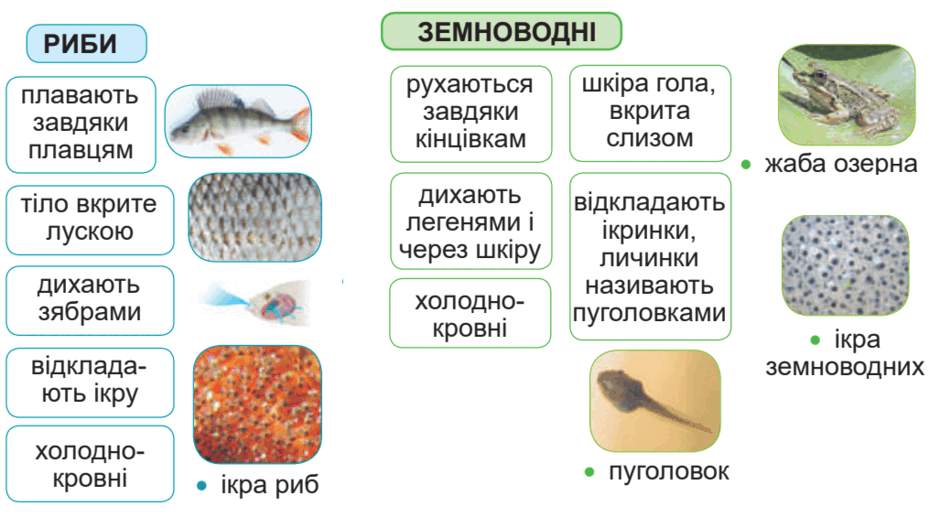 0901o0wo-1c84-940x528.png