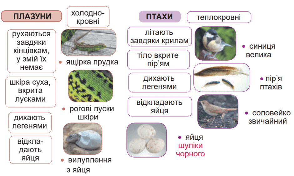 0901o0wt-c054-940x563.png