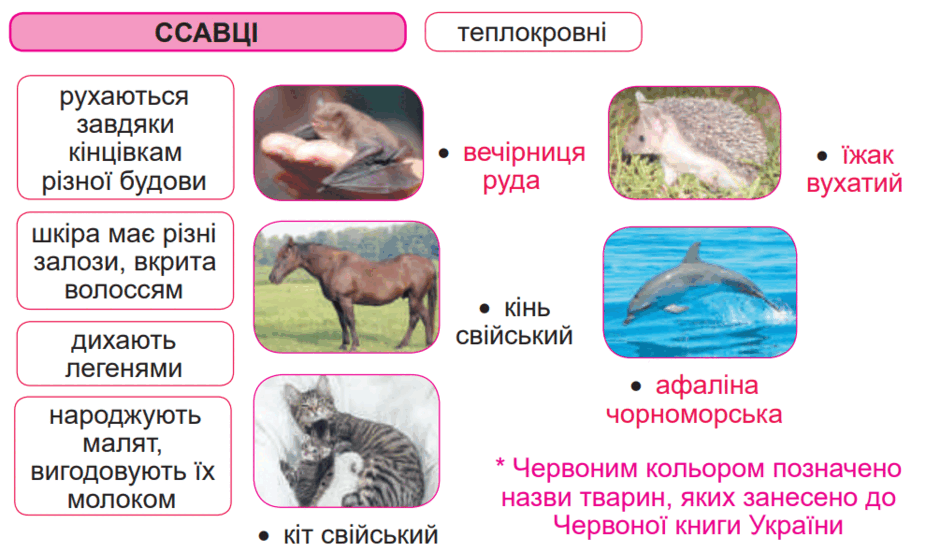 0901o0wy-4366-940x552.png