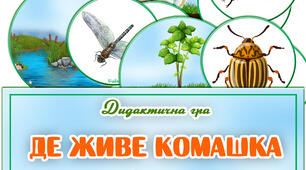 Дидактична гра "Де живе комашка?"