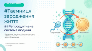 «Будова та функції репродуктивної системи. Будова статевих клітин. Запліднення»