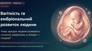 § 62 Вагітність. Ембріональний період розвитку людини. Плацента, її функції