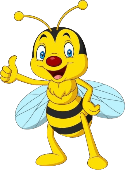 0901o497-f249-428x583.png