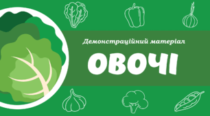 Демонстраційний матеріал "Овочі"
