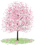 0901o4mt-d6b8-150x195.png