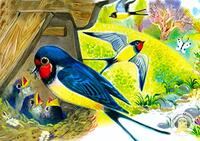 0901o511-72a2-200x141.jpg