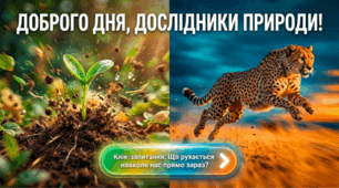 Чи можливе життя без руху