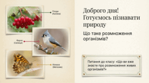Що таке розмноження організмів